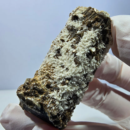 Spécimen rare de tourmaline schorl, hyalite, orthose et muscovite, Erongo, Namibie, 54 x 26 x 22 mm 