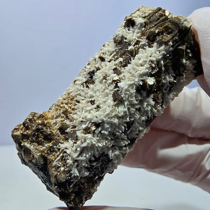 Spécimen rare de tourmaline schorl, hyalite, orthose et muscovite, Erongo, Namibie, 54 x 26 x 22 mm 