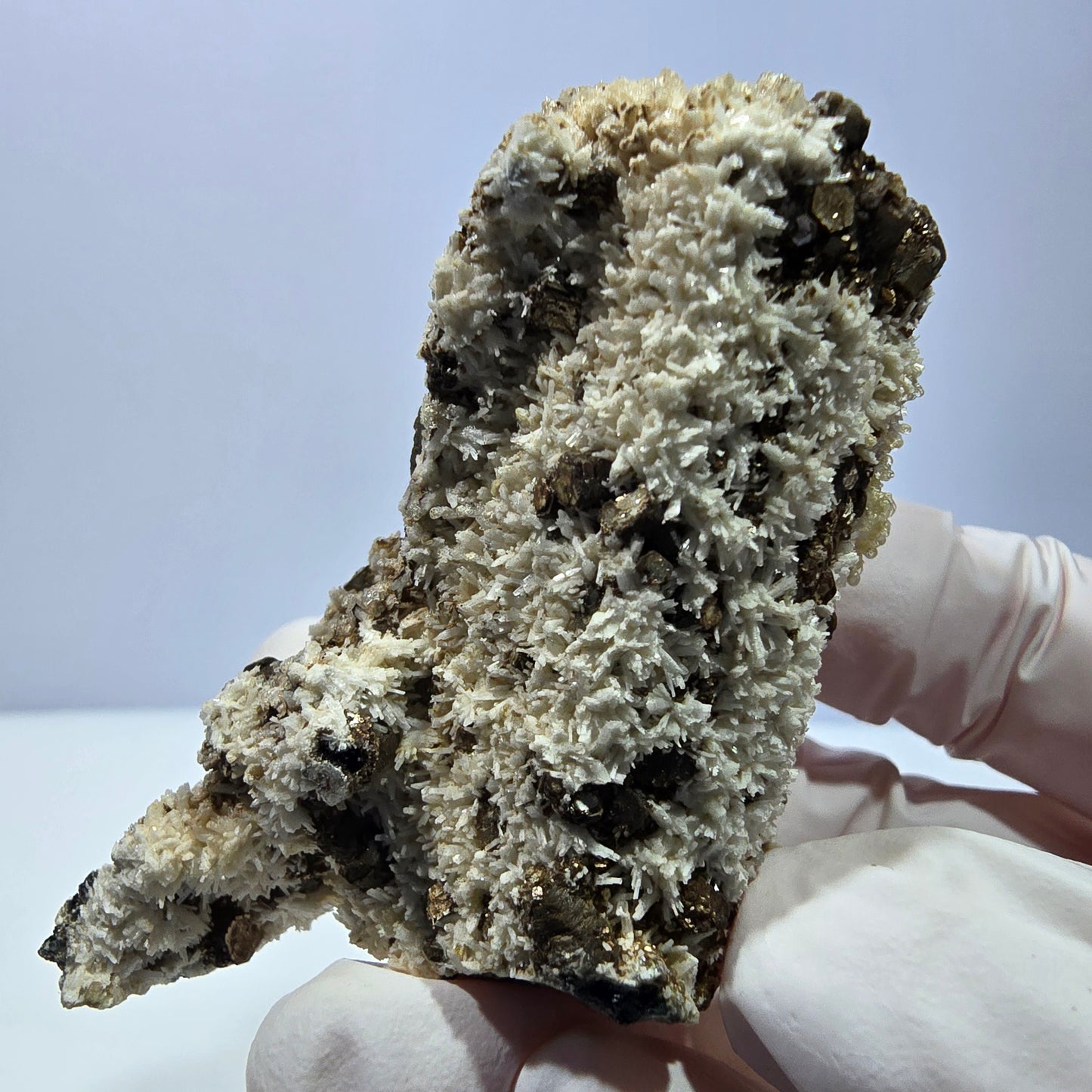 Spécimen rare de tourmaline schorl, hyalite, orthose et muscovite, Erongo, Namibie, 66 x 38 x 32 mm 