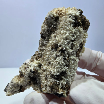 Spécimen rare de tourmaline schorl, hyalite, orthose et muscovite, Erongo, Namibie, 66 x 38 x 32 mm 