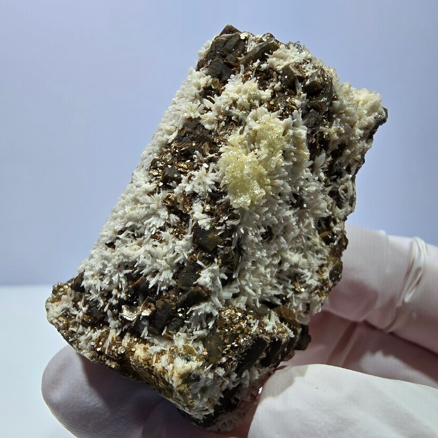 Spécimen rare de tourmaline schorl, hyalite, orthose et muscovite, Erongo, Namibie, 66 x 38 x 32 mm 