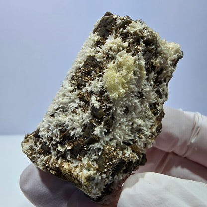Spécimen rare de tourmaline schorl, hyalite, orthose et muscovite, Erongo, Namibie, 66 x 38 x 32 mm 