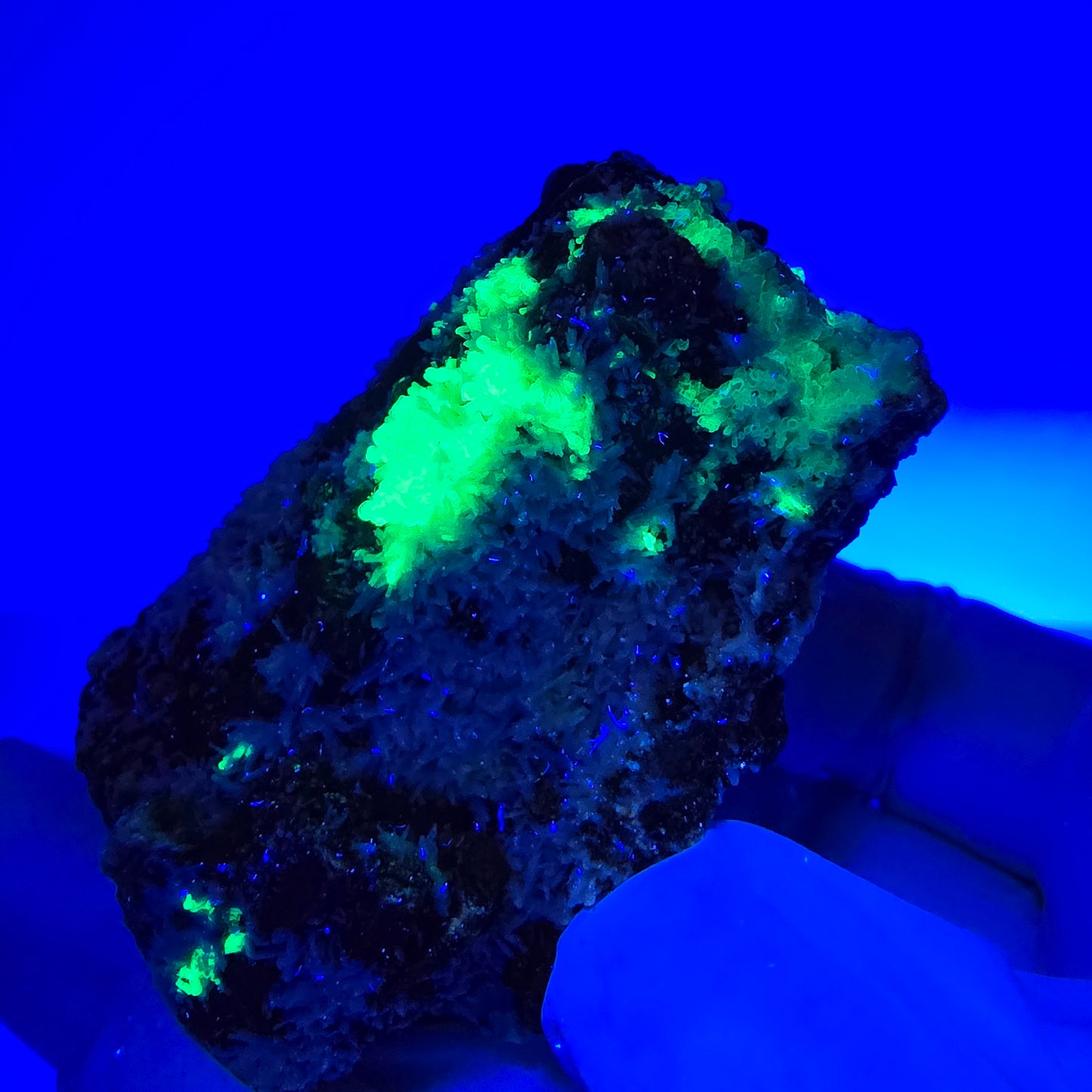 Spécimen rare de tourmaline schorl, hyalite, orthose et muscovite, Erongo, Namibie, 66 x 38 x 32 mm 
