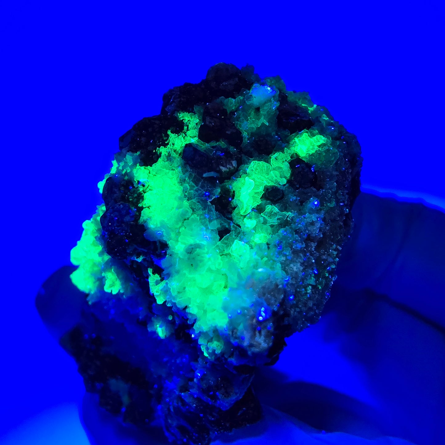 Spécimen rare de tourmaline schorl, hyalite, orthose et muscovite, Erongo, Namibie, 66 x 38 x 32 mm 