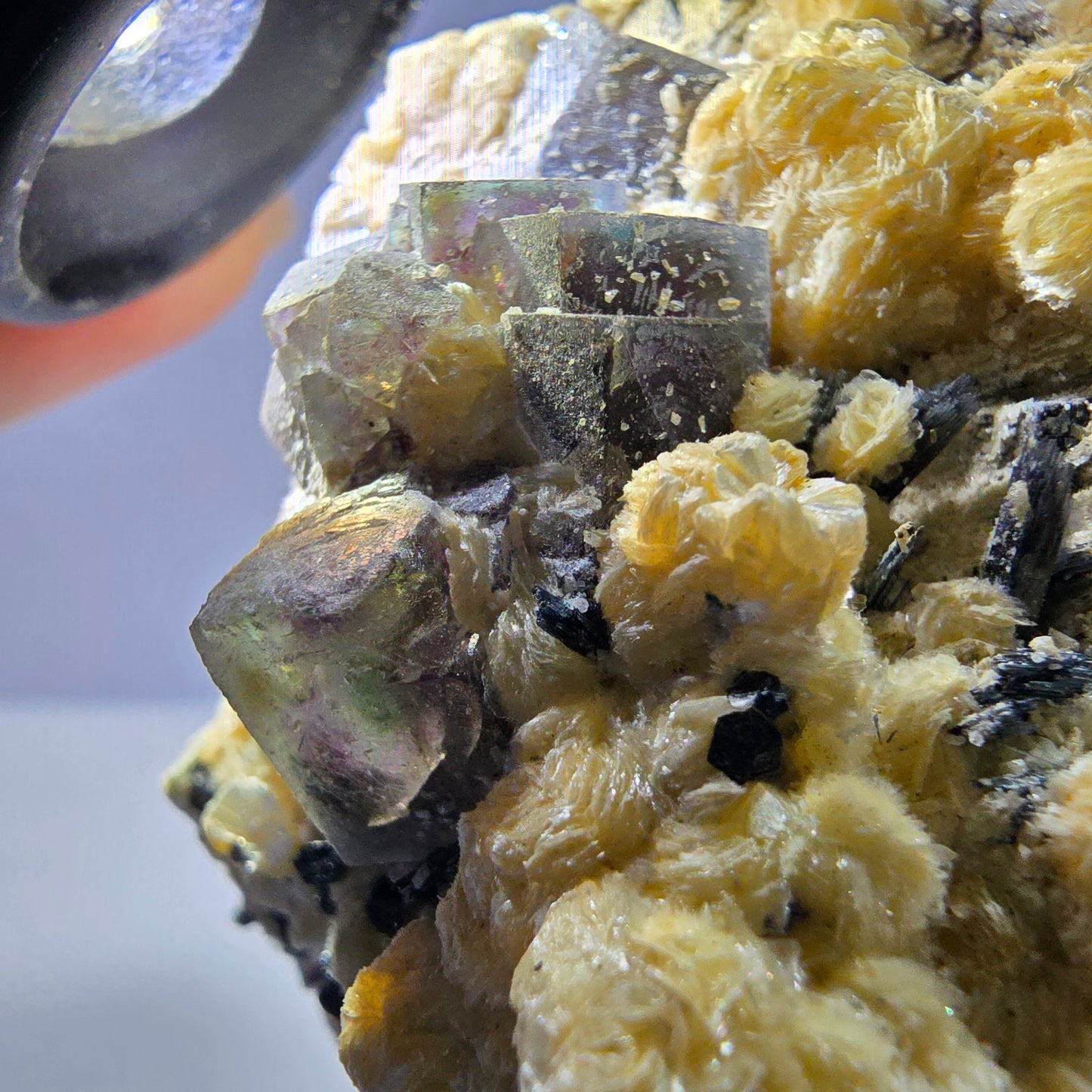 Spécimen de fluorite fantôme colorée, tourmaline schorl et muscovite d'Erongo, Namibie, 83 x 69 x 58 mm 