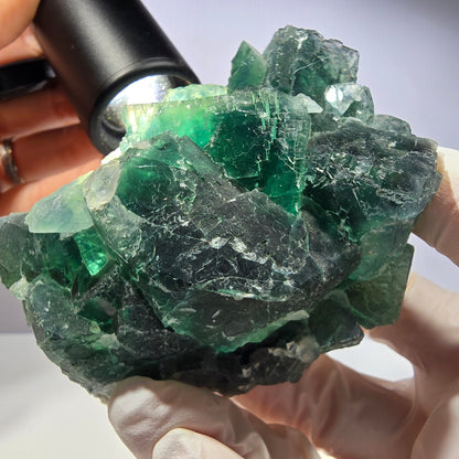 Große Phantom Fluorit Würfel Stufe, parkettiert, gürn Okorusu Namibia 89*64*59mm