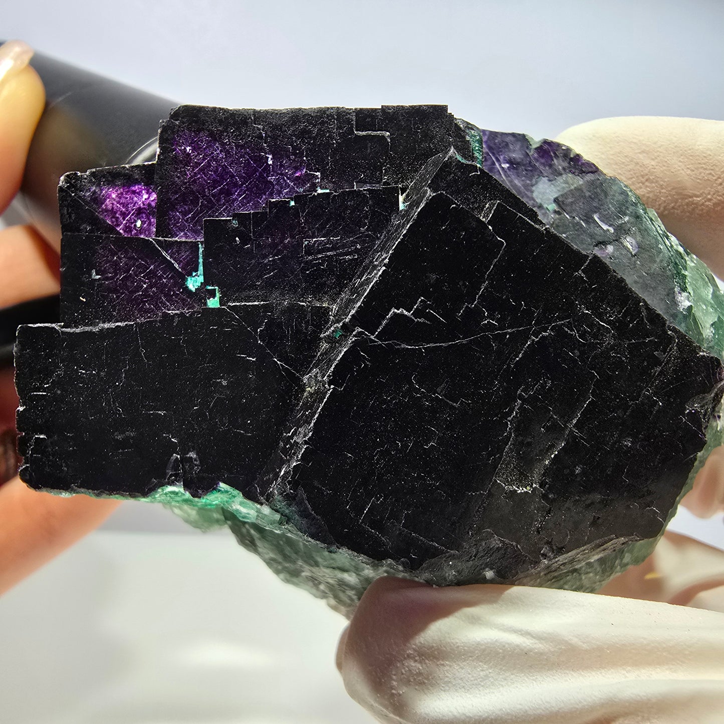 Cube de fluorite fantôme XL vert violet 11:11 Angel Pocket Okorusu, Namibie 75*64*37mm 