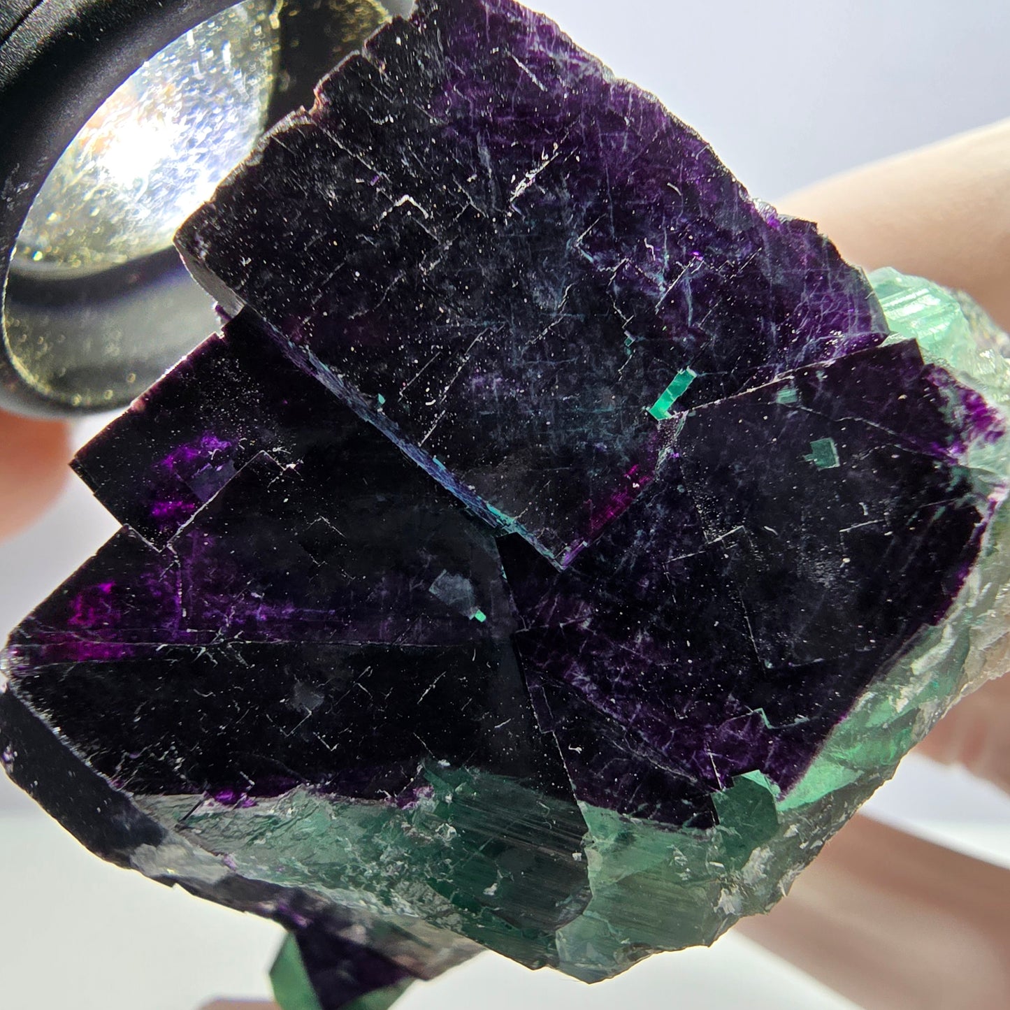 Cube de fluorite fantôme XL vert violet 11:11 Angel Pocket Okorusu, Namibie 75*64*37mm 