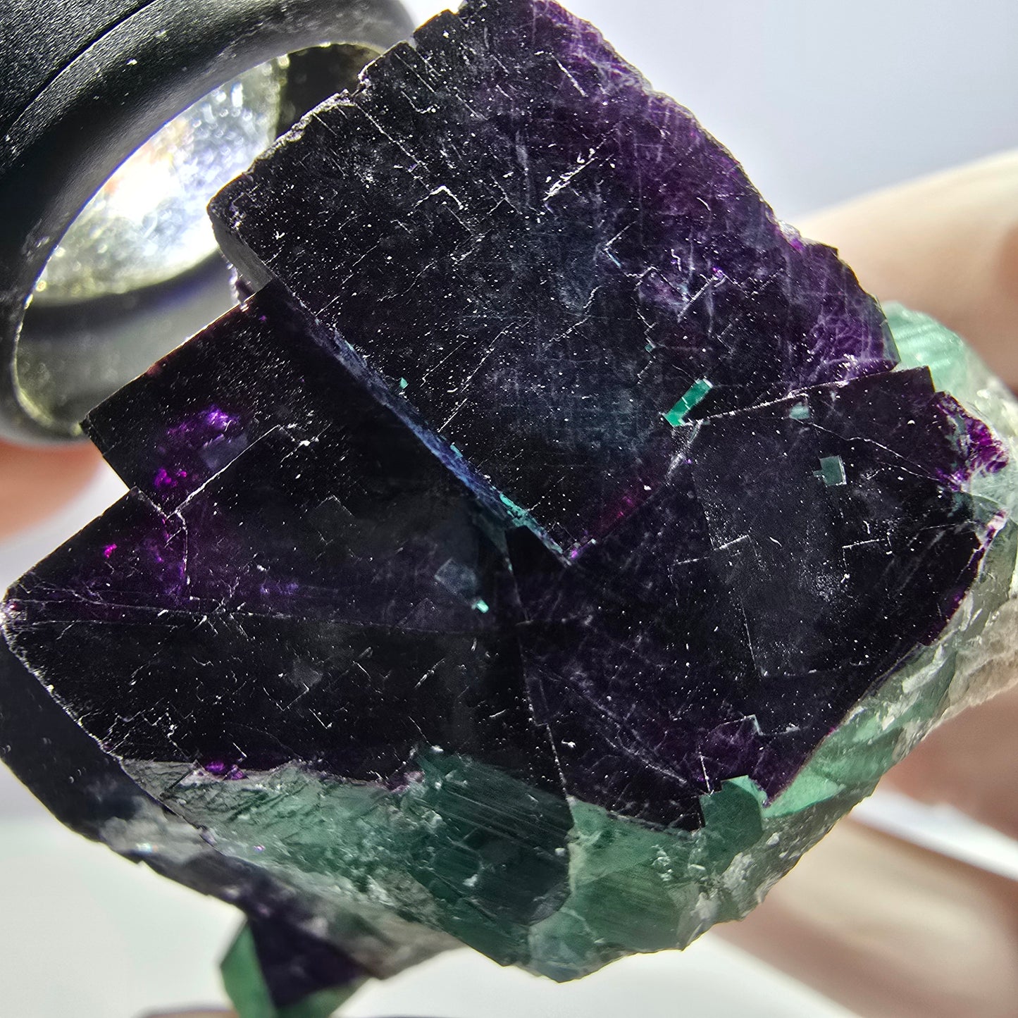 Cube de fluorite fantôme XL vert violet 11:11 Angel Pocket Okorusu, Namibie 75*64*37mm 