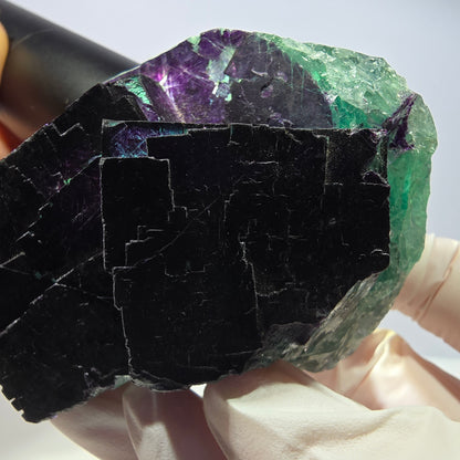 Cube de fluorite fantôme XL vert violet 11:11 Angel Pocket Okorusu, Namibie 75*64*37mm 