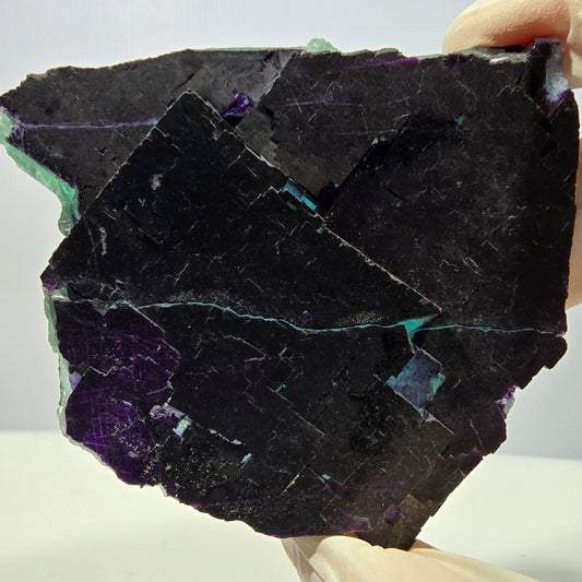 Cube de fluorite fantôme XL vert violet 11:11 Angel Pocket Okorusu, Namibie 76*71*26mm 