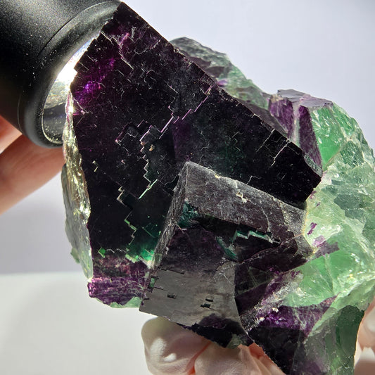 Cube de fluorite fantôme XL vert violet 11:11 Angel Pocket Okorusu, Namibie 86*68*65mm 
