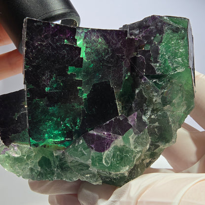 XL Phantom Fluorit Würfel Stufe grün lila 11:11 Angel Pocket Okorusu, Namibia 86*68*65mm