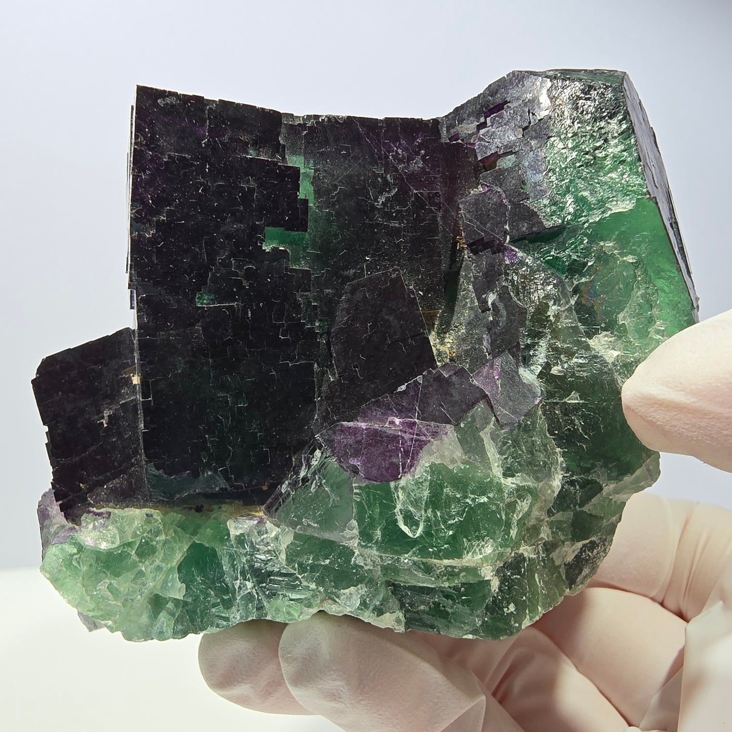 XL Phantom Fluorit Würfel Stufe grün lila 11:11 Angel Pocket Okorusu, Namibia 86*68*65mm