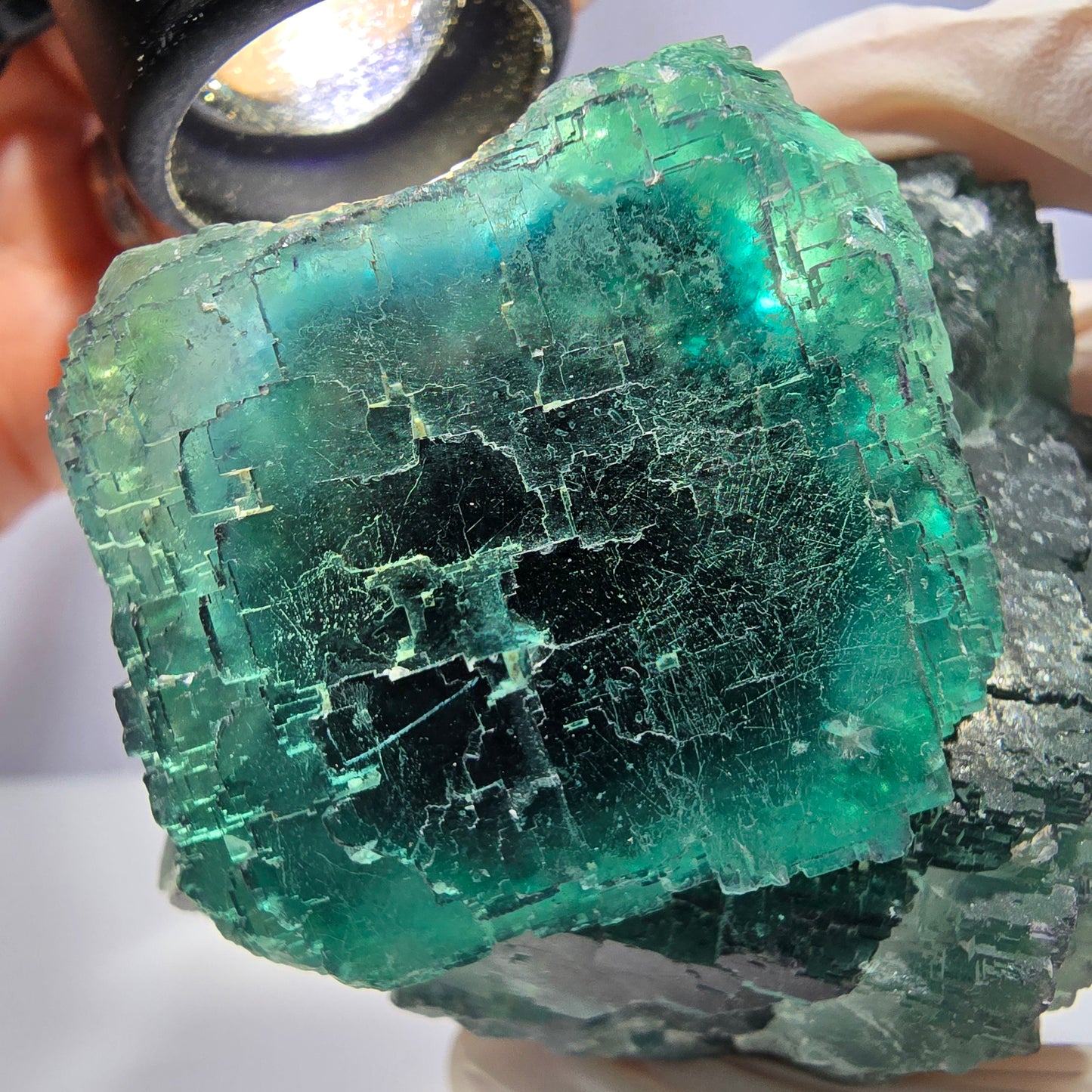 Große Phantom Fluorit Würfel Stufe, parkettiert, gürn Okorusu, Namibia 90*67*64mm