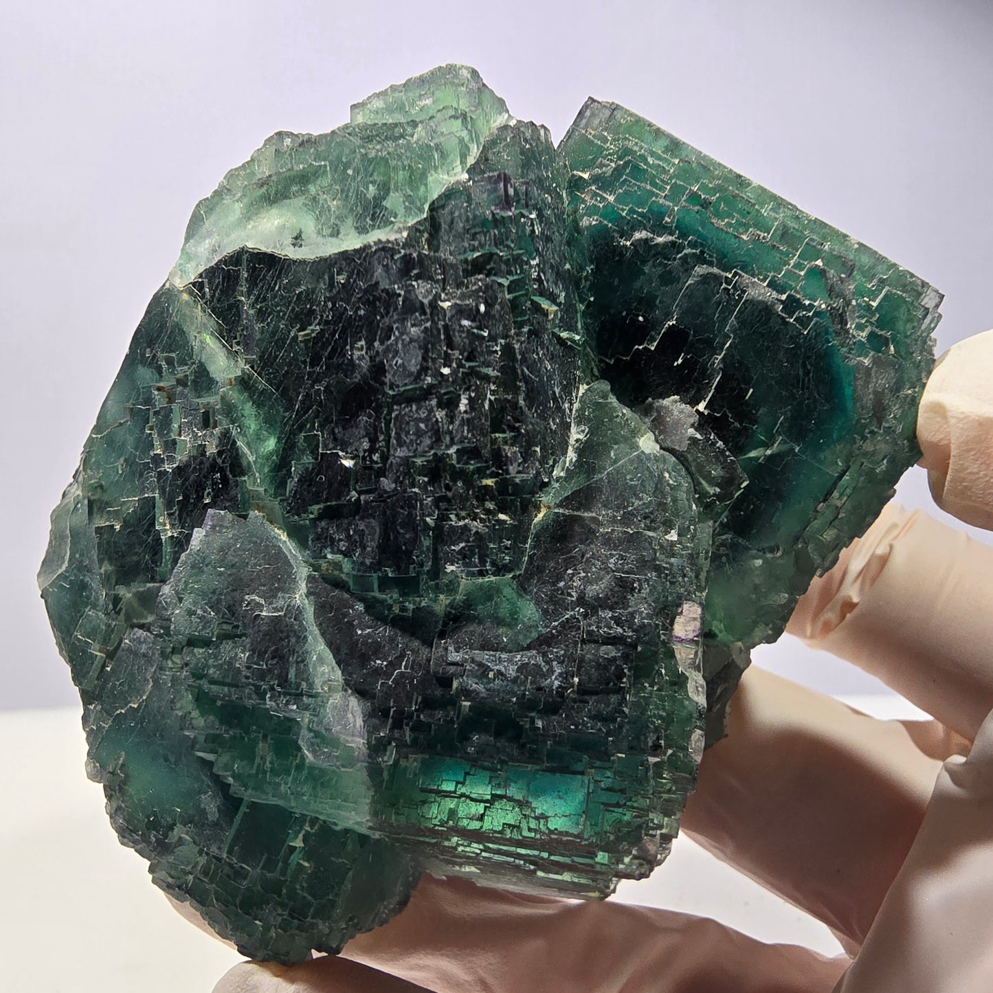 Große Phantom Fluorit Würfel Stufe, parkettiert, gürn Okorusu, Namibia 90*67*64mm