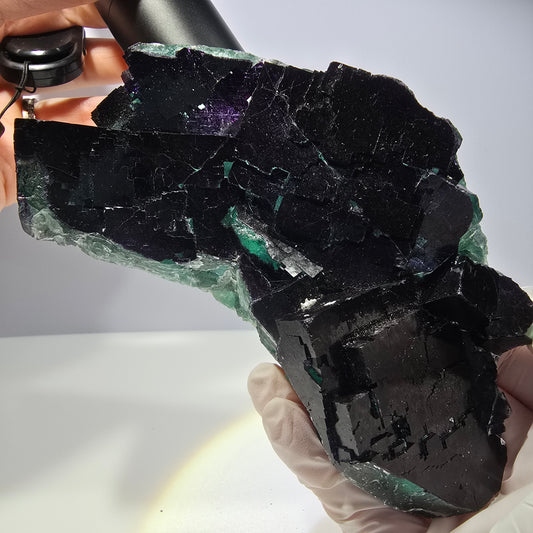 Cube de fluorite fantôme XL vert violet 11:11 Angel Pocket Okorusu, Namibie 150*78*43mm 