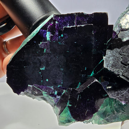 XL Phantom Fluorit Würfel Stufe grün lila 11:11 Angel Pocket Okorusu, Namibia 150*78*43mm