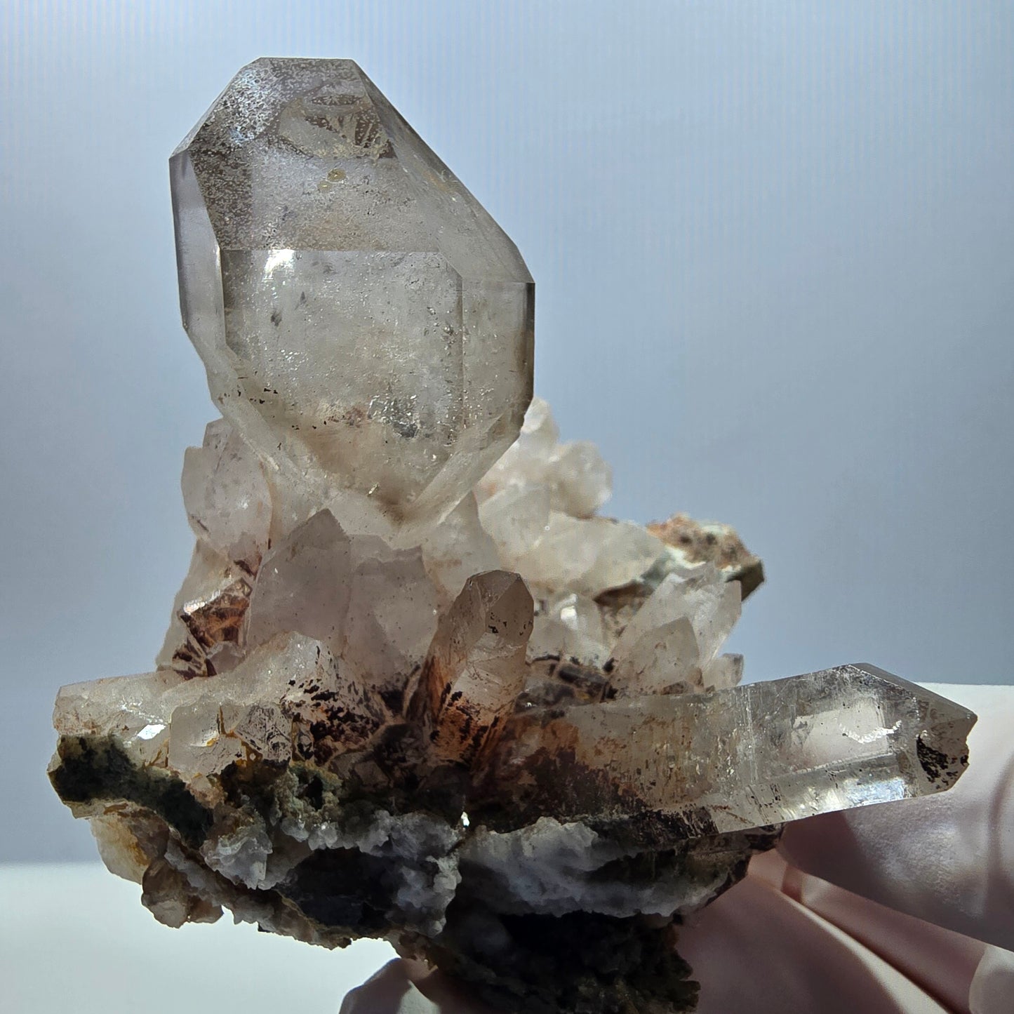 Große Phantom Rauchquarz Zepter auf Matrix Stufe Goboboseb, Namibia 82*64*71mm
