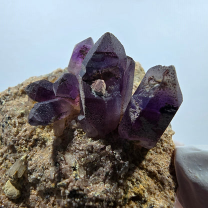 Seltene Phantom Amethyst Zepter auf Matrix Stufe Goboboseb, Namibia 51*50*28mm