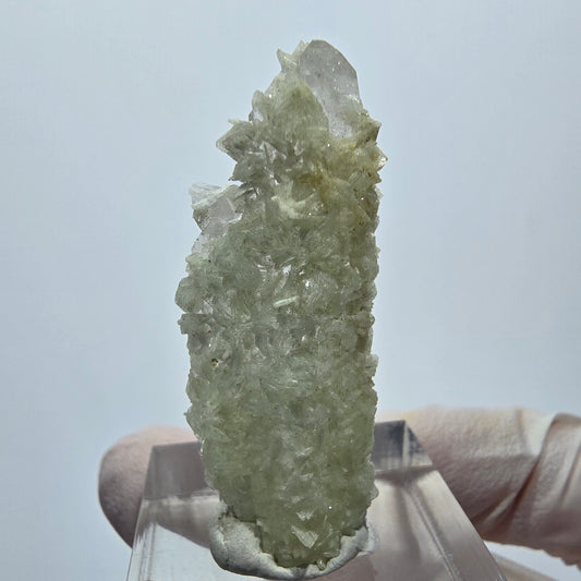 Quartz lémurien à pointe de préhnite, mine de Streep, Goboboseb, Namibie, 41*15*12 mm 