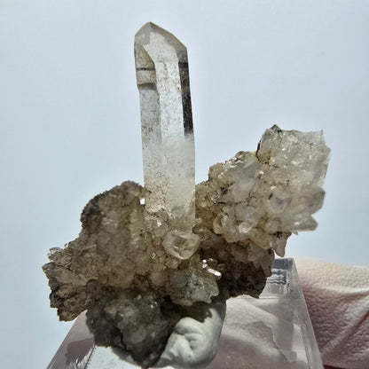 Clear phantom smoky quartz scepter on matrix step Goboboseb, Namibia 38*35*13mm 
