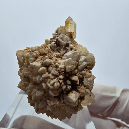 Quartz fumé Phantom à double terminaison sur matrice étagée Goboboseb, Namibie 33*30*25mm 