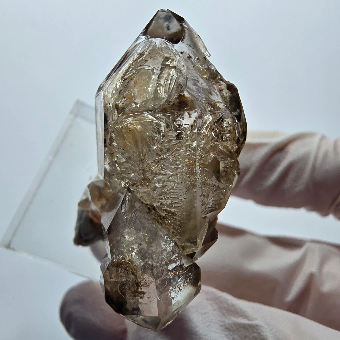 Phantom Skeleton Smoky Double-Terminated Quartz with Matrix Goboboseb, Namibia 39*28*17mm 