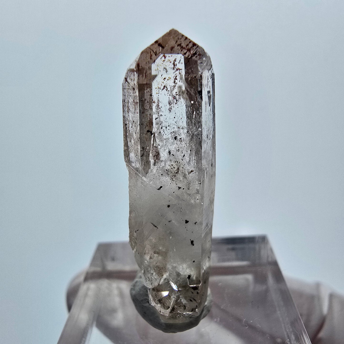 Harlekin Phantom Quarz Doppelender Streep Mine Goboboseb, Namibia 33*9*8mm