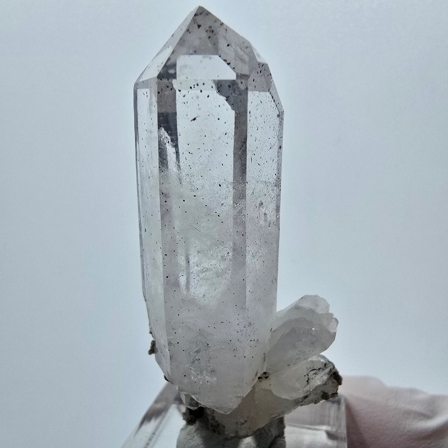 Phantom Rauchquarz Hämatit DT Zepter mit Matrix Goboboseb, Namibia 54*24*17mm