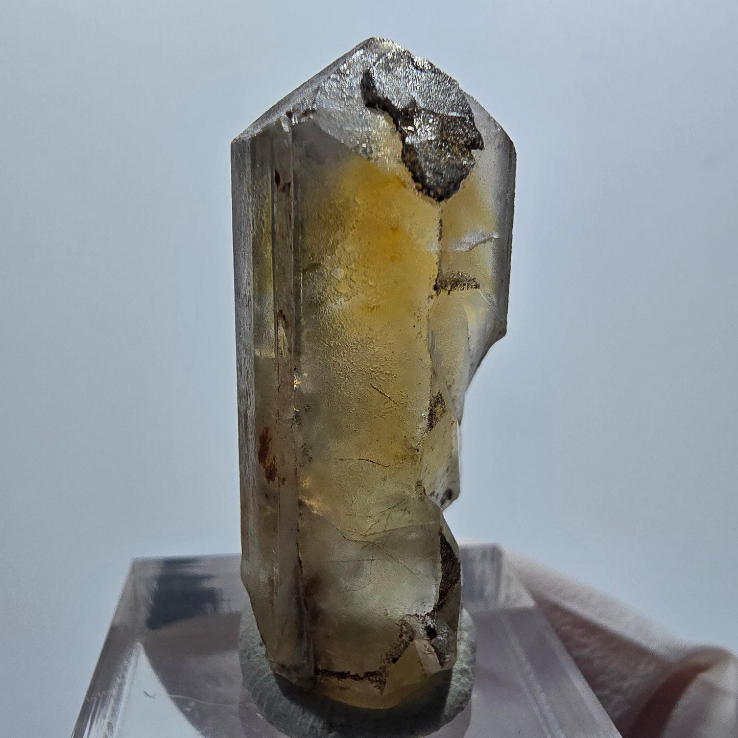 Seltener Baryt X Kristall, braun gelb Brukkaros, Namibia 35*16*12mm