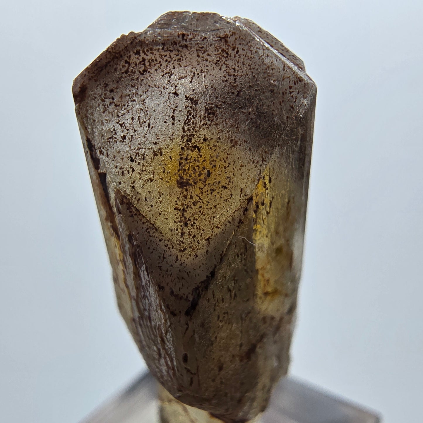 Seltener Baryt X Kristall, braun gelb Brukkaros, Namibia 43*16*14mm