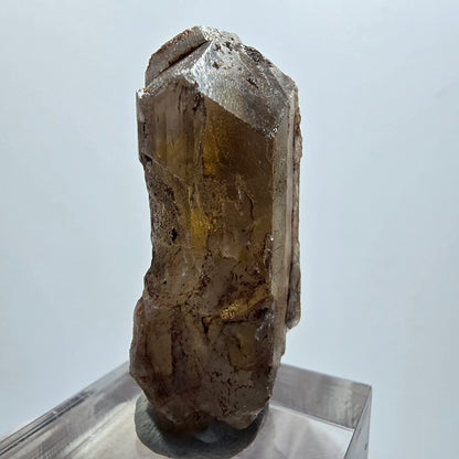 Seltener Baryt X Kristall, braun gelb Brukkaros, Namibia 31*18*15mm