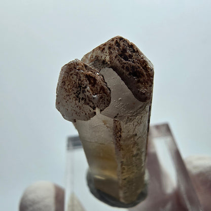 Seltener Baryt X Kristall, braun gelb Brukkaros, Namibia 33*16*12mm