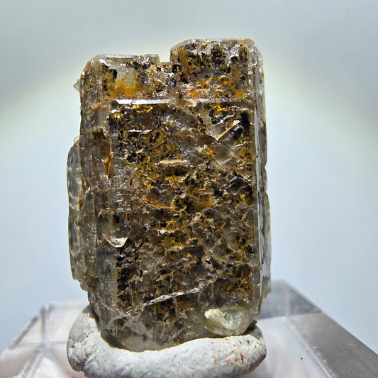 Béryl XX rare avec muscovite, Erongo, Namibie, 23*16*13 mm 