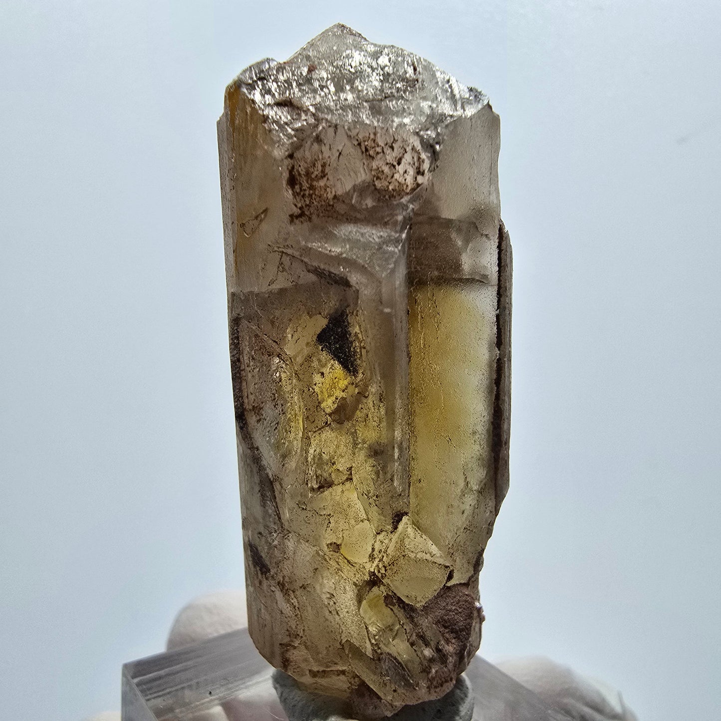 Seltener Baryt X Kristall, braun gelb Brukkaros, Namibia 54*21*20mm