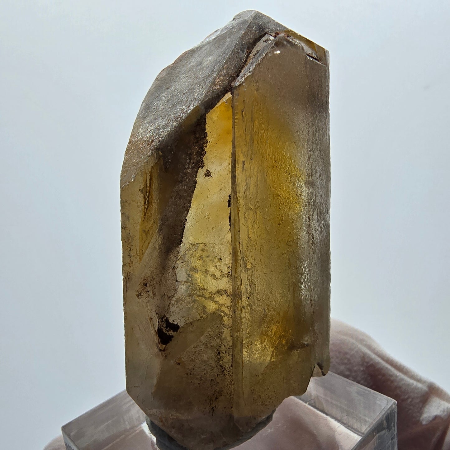 Seltener Baryt X Kristall, braun gelb Brukkaros, Namibia 51*26*21mm