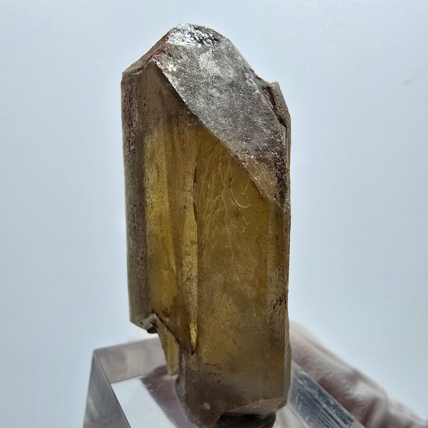 Seltener Baryt X Kristall, braun gelb Brukkaros, Namibia 51*26*21mm