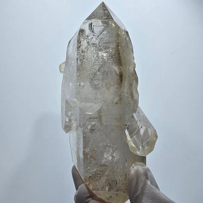 XL Skelett Phantom Rauchquarz Doppelender Zepter Goboboseb, Namibia 114*75*38mm