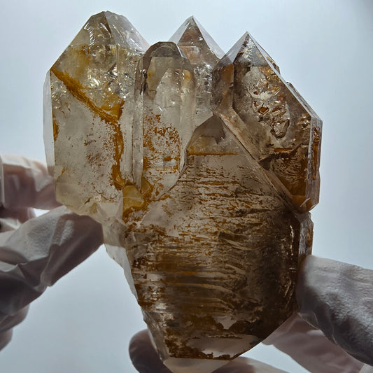 XL Skelett Phantom Rauchquarz Doppelender Zepter Goboboseb, Namibia 100*75*59mm