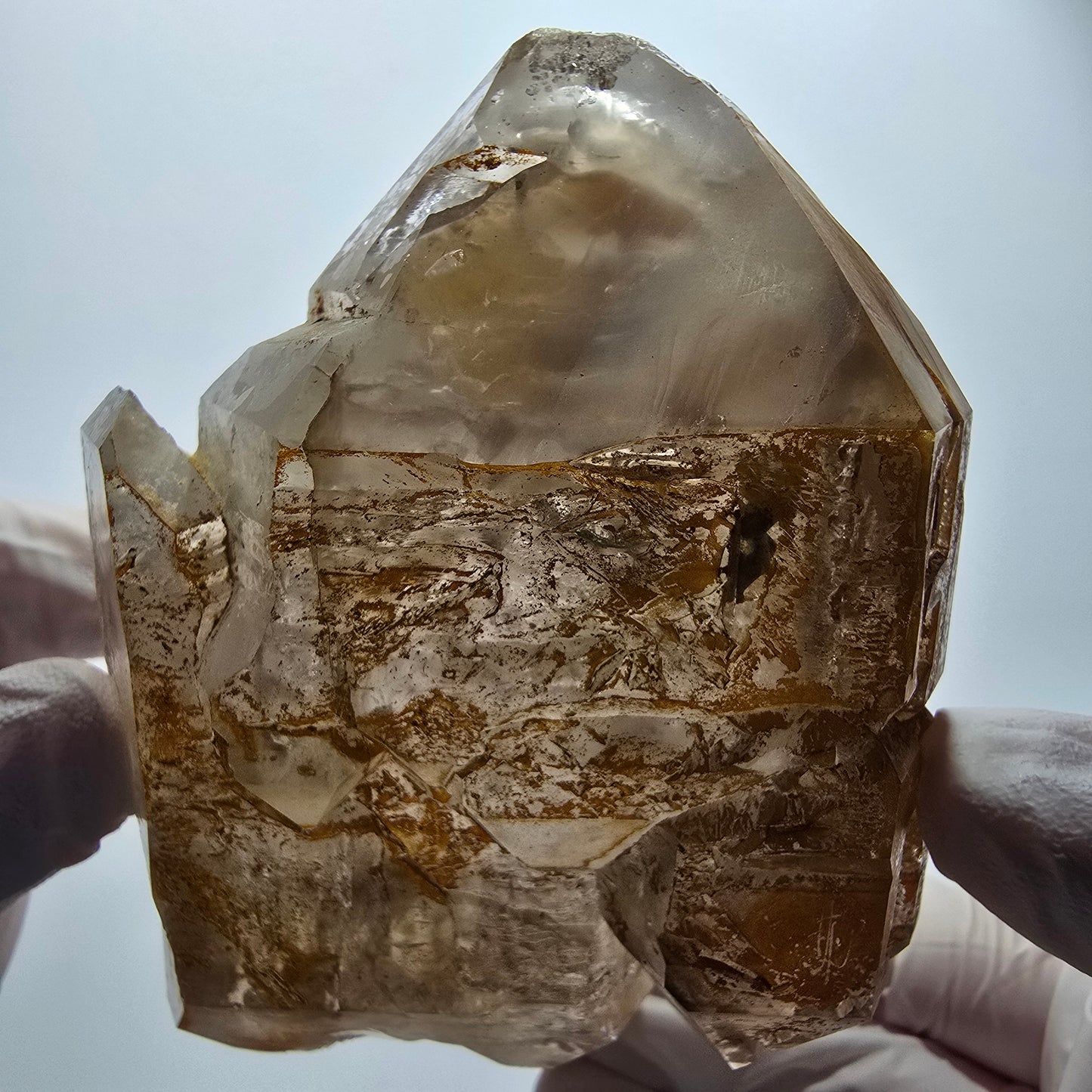 XL Skelett Phantom Rauchquarz Doppelender Zepter Goboboseb, Namibia 100*75*59mm