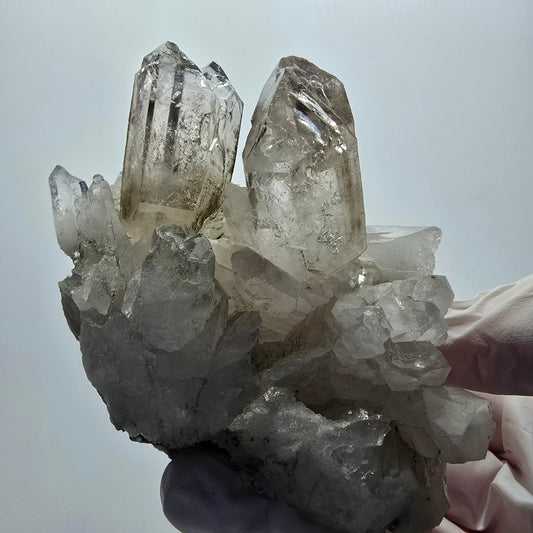 XL Enhydro Skelett Phantom Rauchquarz Zepter auf Matrix Goboboseb, Namibia 83*73*66mm