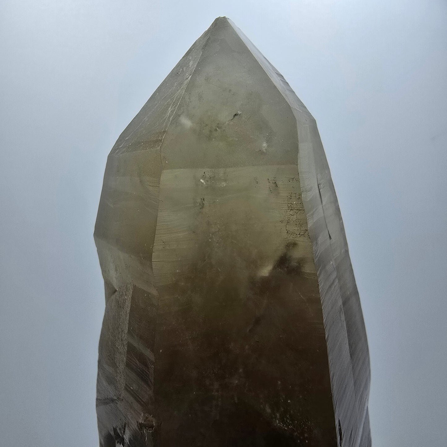 Großer Skelett Phantom Rauchquarz mit Hyalit Goboboseb, Namibia 107*49*46mm