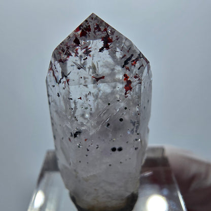 Harlequin Lémurien Fantôme Améthyste Dentelle Streep Mine Goboboseb Namibie 32*15*12mm 