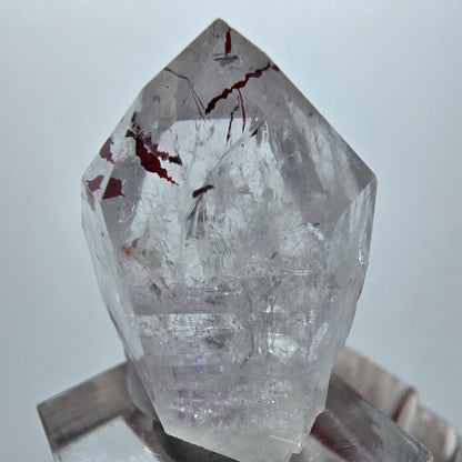 Harlequin Lémurien Fantôme Améthyste Dentelle Streep Mine Goboboseb Namibie 38*27*19mm 