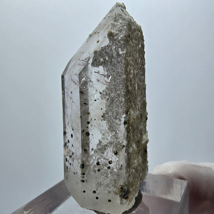 Améthyste fantôme arlequin, pointe Streep Mine Goboboseb Namibie 40*19*14mm 