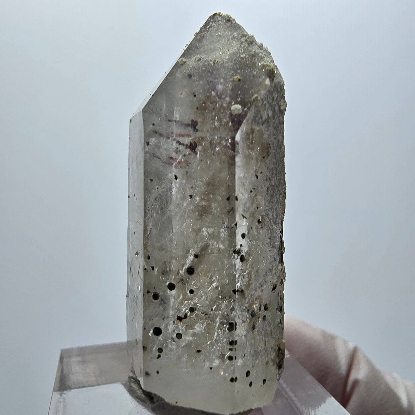 Améthyste fantôme arlequin, pointe Streep Mine Goboboseb Namibie 40*19*14mm 