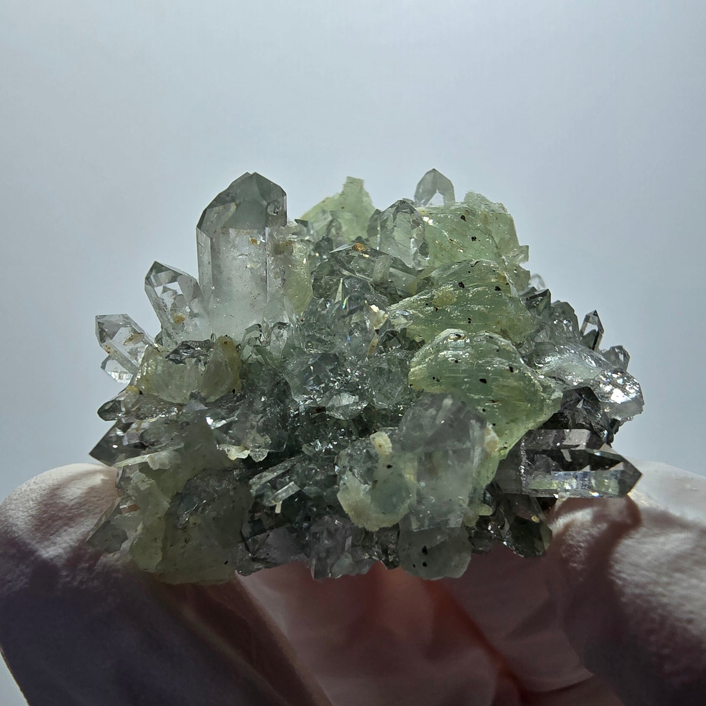 Seltene Starburst Quarz, Prehnit Stufe Streep Mine Goboboseb Namibia 44*37*22mm