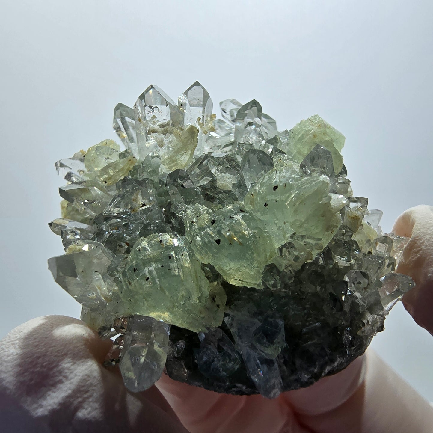 Seltene Starburst Quarz, Prehnit Stufe Streep Mine Goboboseb Namibia 44*37*22mm