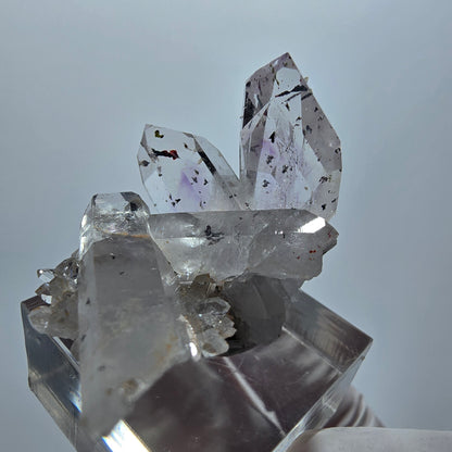 Harlekin Phantom Amethyst mit Epidot Stufe Streep Mine Goboboseb Namibia 36*27*23mm